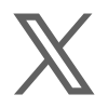 X Icon
